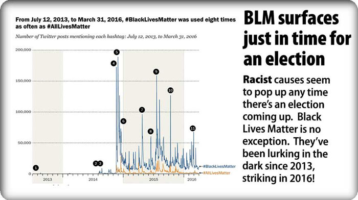 BLM_at_election
