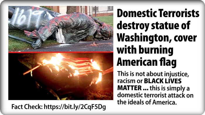 Democrats Burn Washington