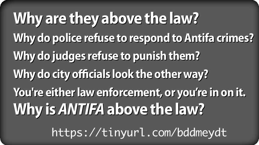 antifa_above_the_law